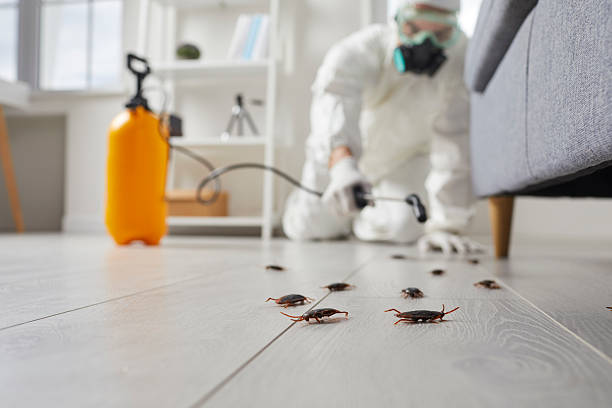 Commercial Kitchen Cockroach Control in Wisconsin Dells